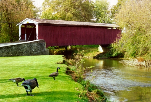 A Covered Bridge with Decoys set out to Catch the Tourists
