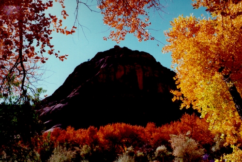 Fall on the Floor of Canyon de Chelly