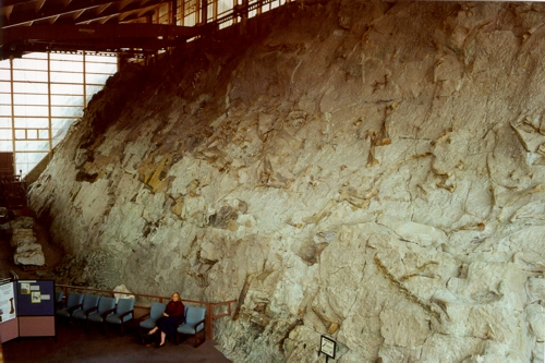 The Bone Quarry at Dinosaur National Monument