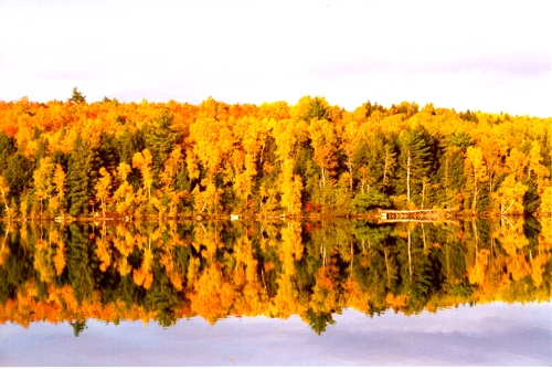 Fall Foliage in Maine