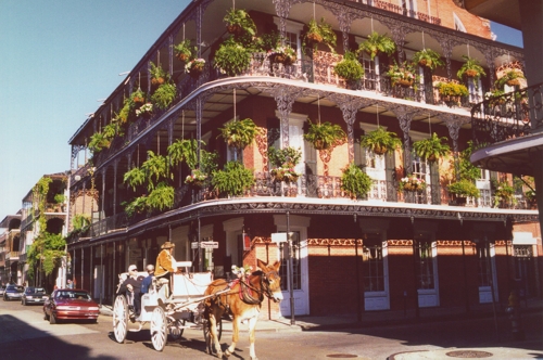 Fancy Ironwork, Flowers, and a Slow Ride around New Orlenas