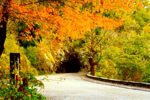 Tunnel toward the end of Skyline Drive